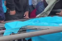 洛里這反應太慢了！羅伊斯在洛杉磯德比中一腳任意球絕平